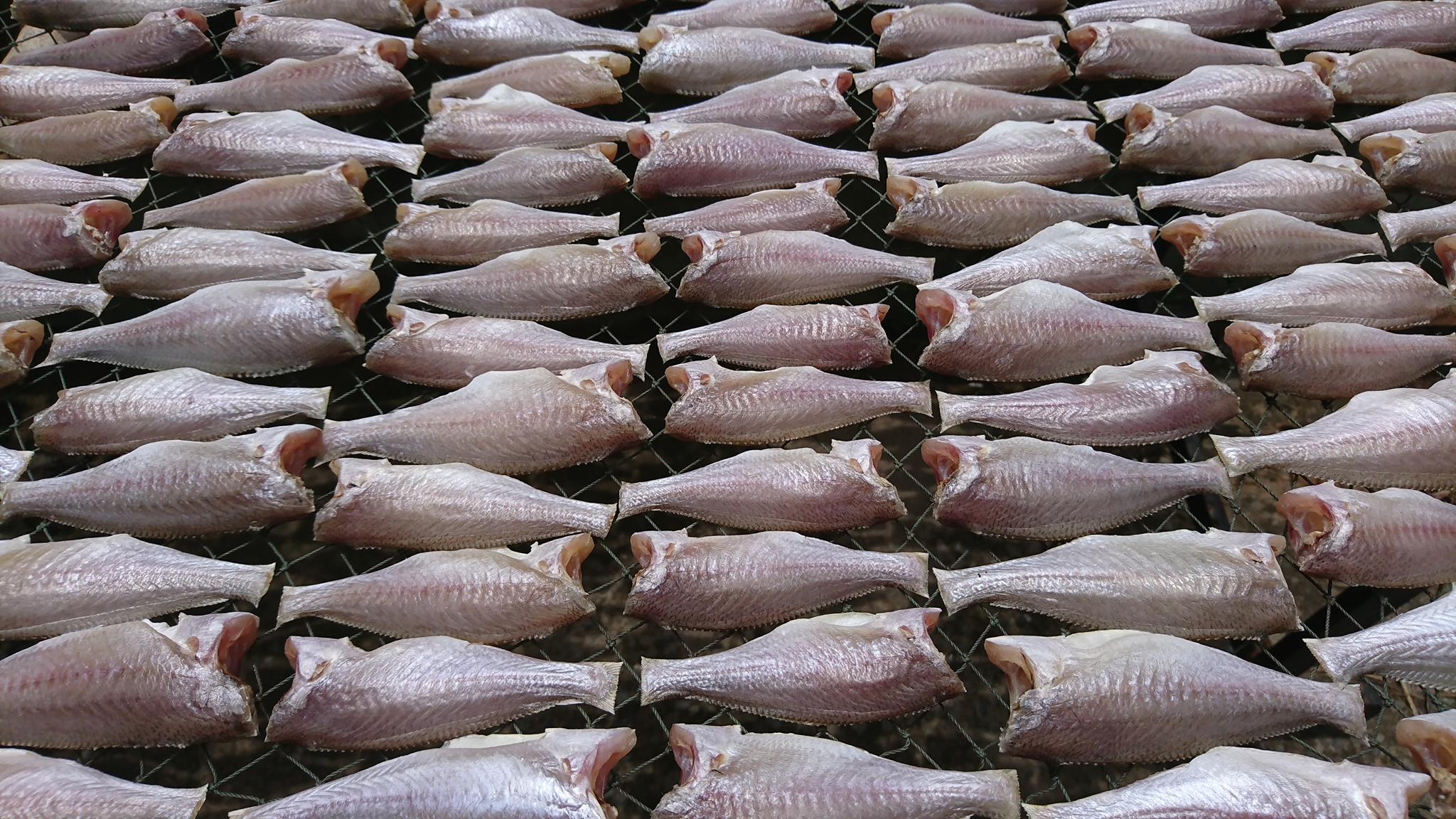 Khô cá đù loại lớn - Đặc sản miền tây